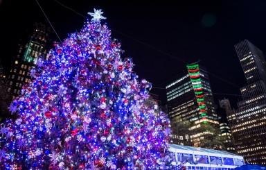 Bryant Park Tree and Skyscrapers