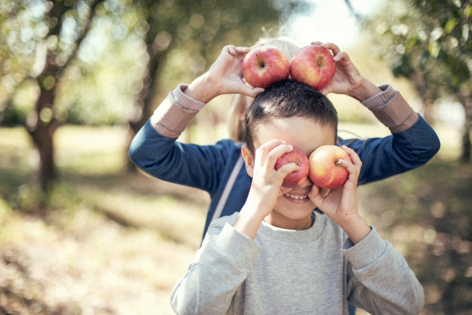 9 Best Apple Picking Spots on Long Island New York Family