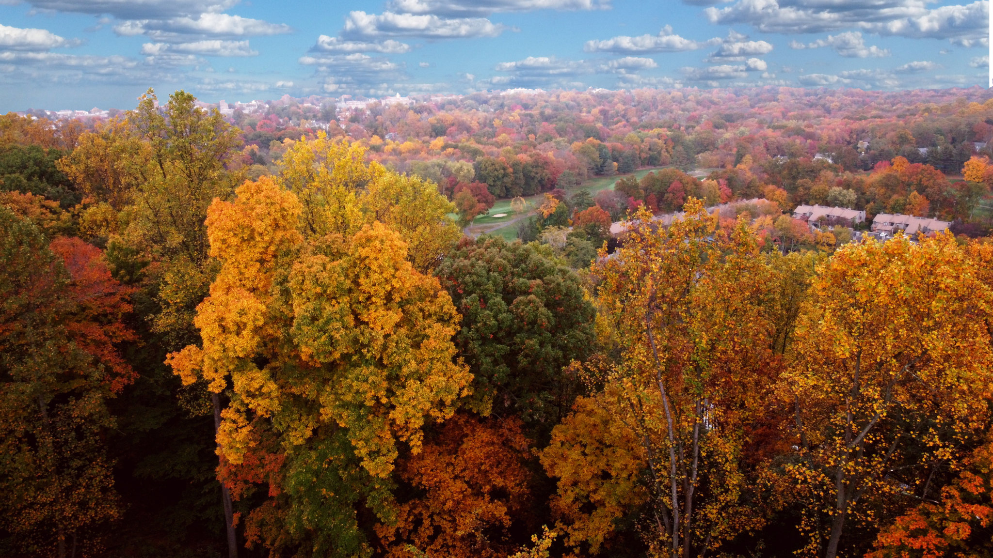 The Best Spots to Check out Hudson’s Valley Fall Foliage