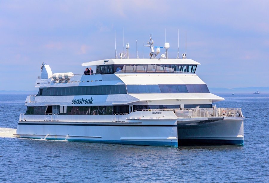 Seastreak Cruises Connect NYC and NJ for Summer Fun