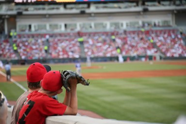 Where to Catch A Baseball Game with Family Near NYC 2023