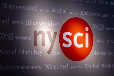 Guide to Visiting the New York Hall of Science