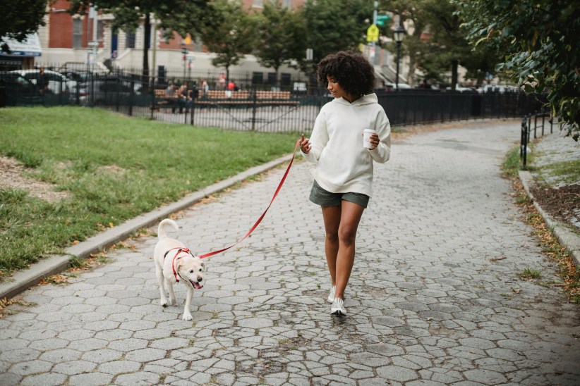 Dog-Friendly Spots in NYC: A Guide for Families