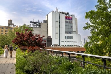 The Whitney to Expand Free Admission Offerings in 2024