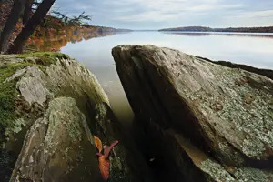 Black-Creek-Forest-Preserve