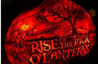 History-Article_RISE-Art-Pumpkin1
