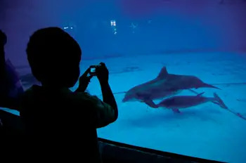 National Aquarium in Baltimore, Maryland