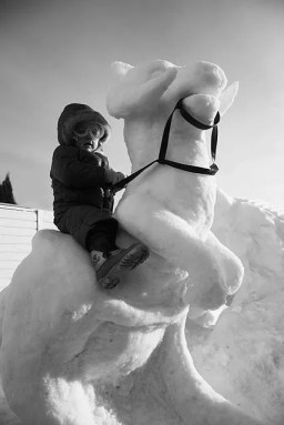 Tauntaun