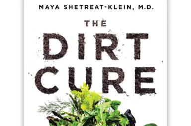 The_Dirt_Cure_artwork-2