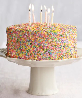 birthday-cake-with-rainbow-sprinkles