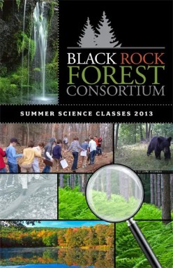 black-rock-forest-summer-science-classes