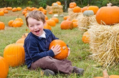 10997770 – happy young boy picking a pumpkin for halloween