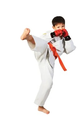 boy-kickboxing