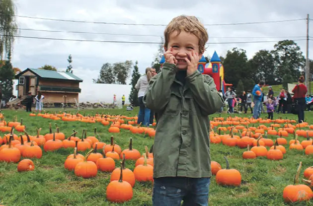 pumpkin picking