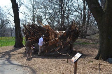 brooklyn-botanical-garden-tree-house