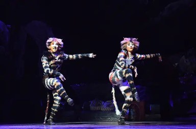 cats-the-musical