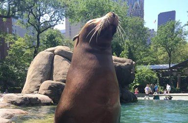 central-park-zoo