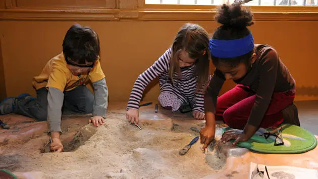 discovery room at american museum of natural history nyc