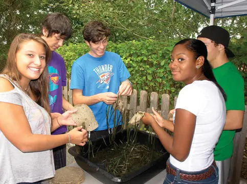 Marine Meadows Program