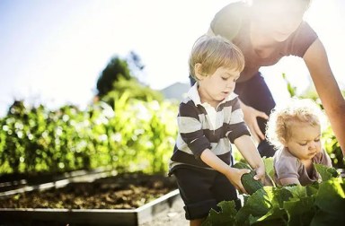 gardening-with-kids