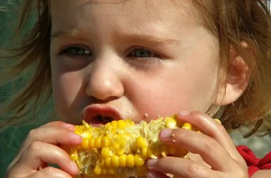 girl-eating-corn-on-the-cob