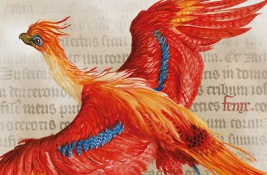 harry-potter-pheonix