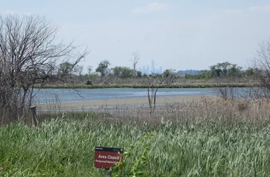 jamaica-wildlife-refuge-west-pond-protected-area