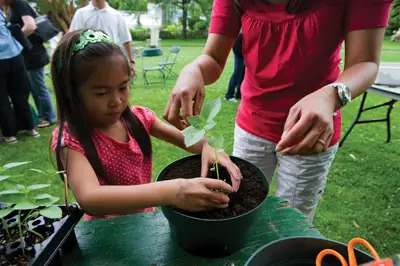 Get Your Hands Dirty Day at Wave Hill