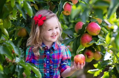 little-girl-with-apple