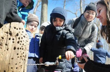 maple-sugaring-tenafly