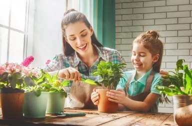 mother-daughter-plants