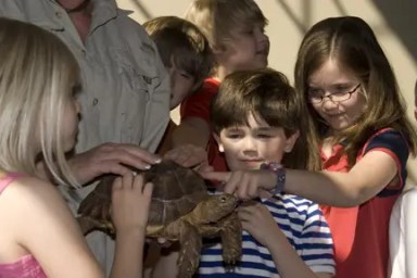 my-reptile-guys-kids-with-turtle