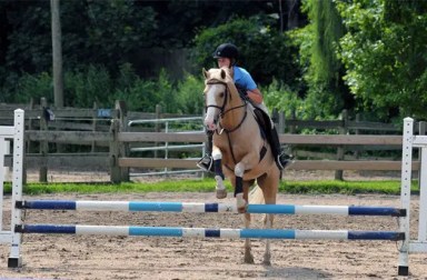 ndthomas-school-of-horsemanship