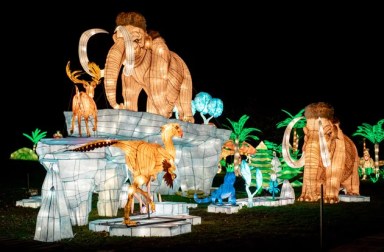 nyc-winter-lantern-festival