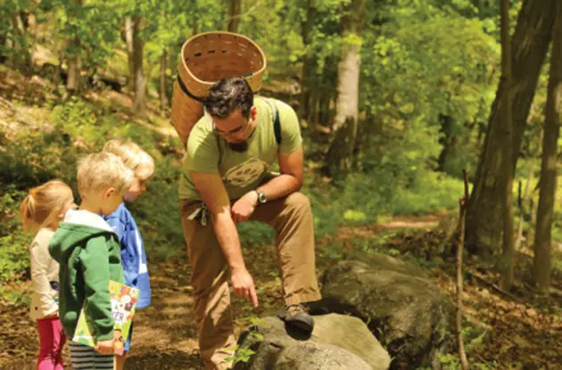 New Outdoor Forest Preschool Opens in Croton – New York Family