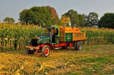 public-hayrides