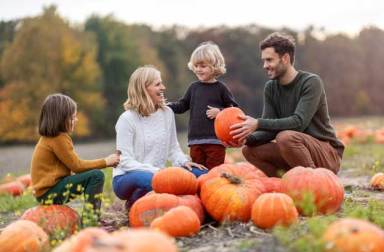 pumpkin-picking-long-island