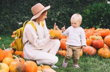 pumpkin-picking-westchester