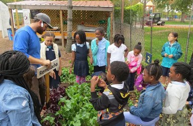 randalls-island-urban-farm