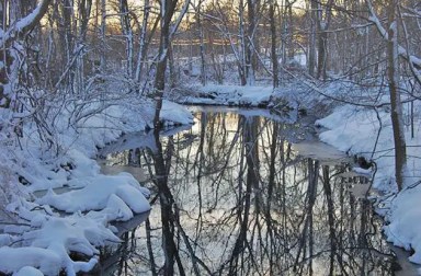 rye-nature-center-nanderwhere-pond