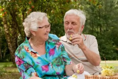 senior-citizens-picnic