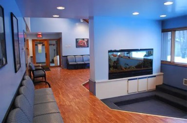 teanfly-pediatrics-waiting-room