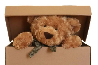 teddy-bear-bigstock