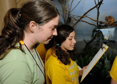 teen-interns-prospect-park-zoo