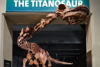 titanosaur