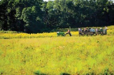 tractor-rides