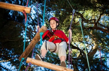 tree-climbing-kid