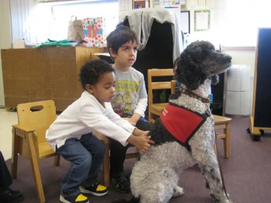 variety-child-learning-center-dog