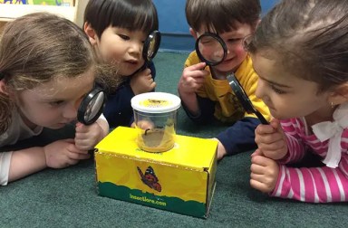 young-children-examine-insect-with-magnifying-glasses