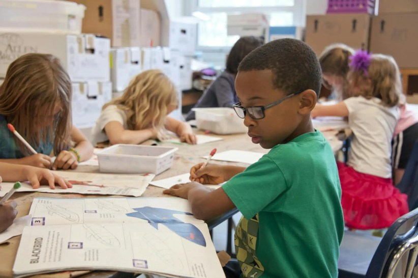 Blue ribbon grade school students working in a classroom